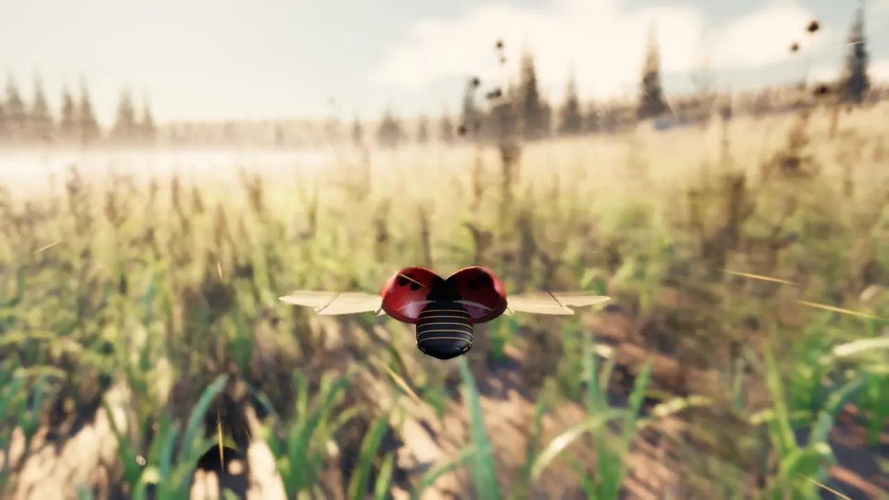 Ein Marienkäfer fliegt über eine weite Wiese, am Horizont Bäume. Standbild aus dem Spiel.