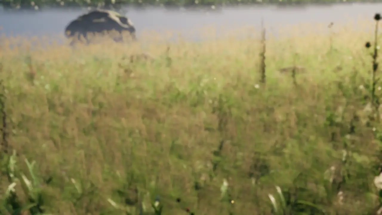 Standbild aus dem Spiel: eine weite Wiese aus Käfersicht, dahinter ein See.