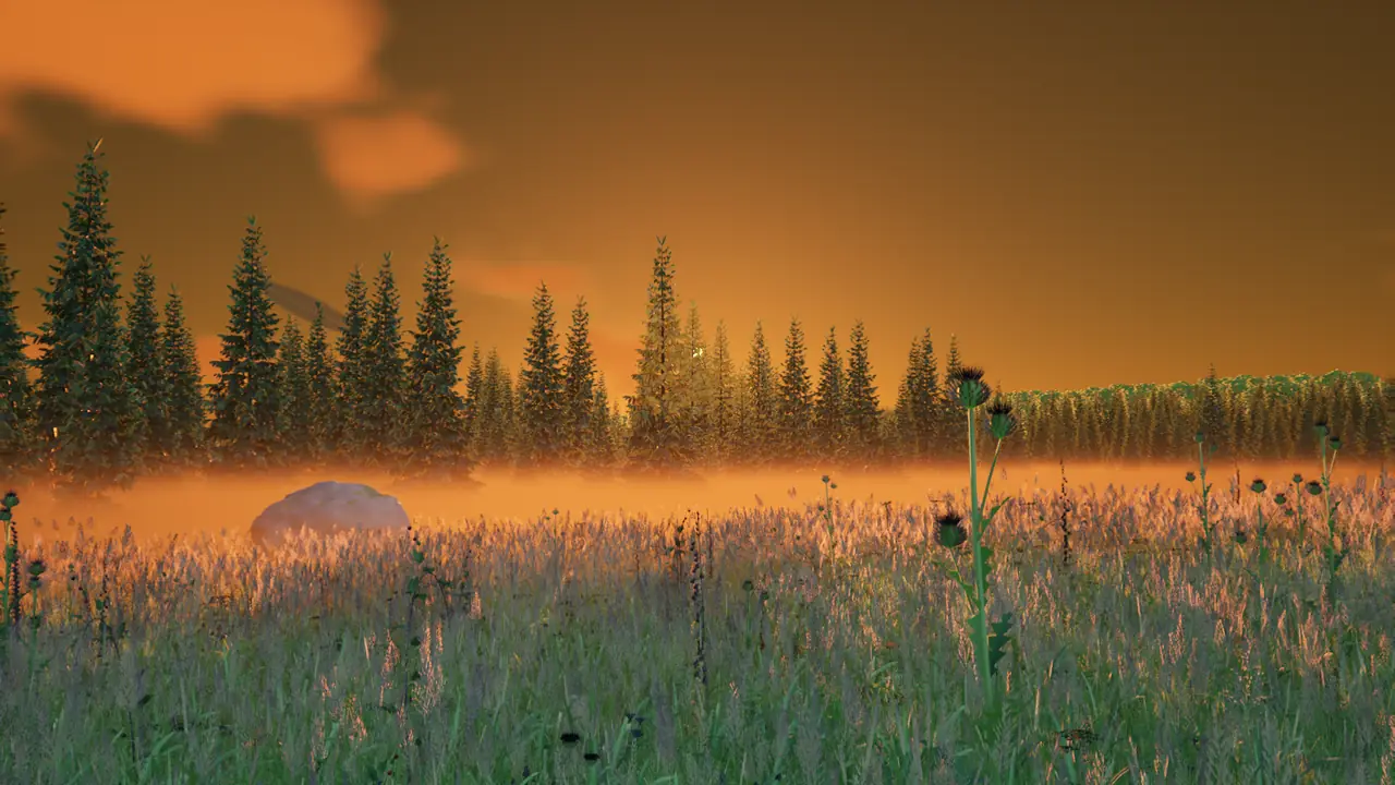 Abendlicht über der Wiese, dahinter ein Fichtenwald im Nebel. Standbild aus dem Spiel.